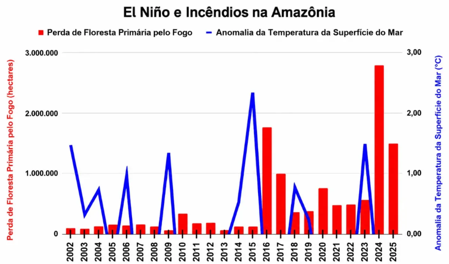 Notícia - Portal Remador